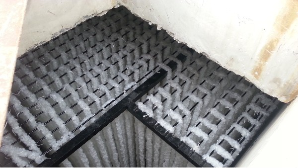 河北邯鄲某牧業公司填料案例