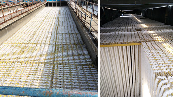 山東齊魯石化煉油廠橡膠廠廢水填料改造工程案例